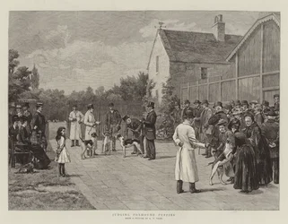 フォックスハウンドの子犬を判断する